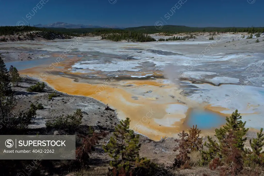 USA, Wyoming, Yellowstone National Park, Norris Geyser Basin, Porcelain Basin, View of Porcelain Springs