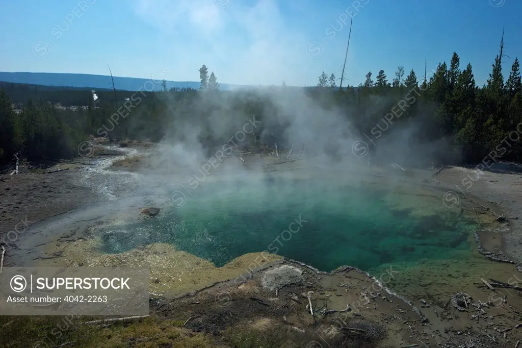USA, Wyoming, Yellowstone National Park, Norris Geyser Basin, View of Emerald Spring
