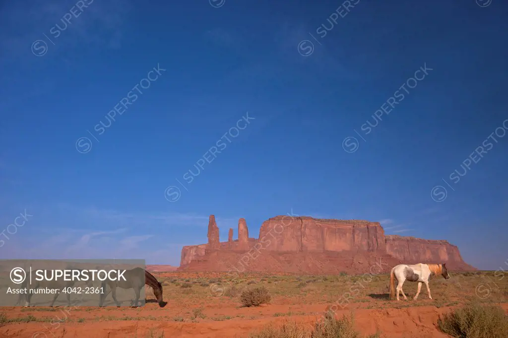 USA, Utah, Monument Valley Navajo Tribal Park, Rock formation and horses