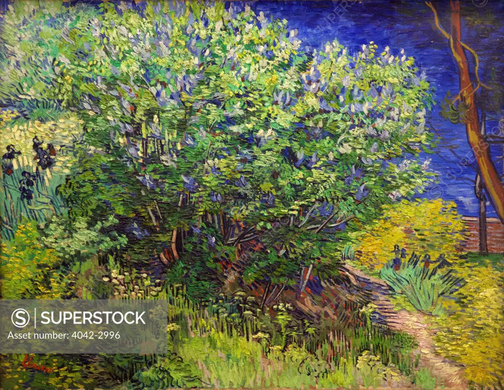 Russia, Saint Petersburg, State Hermitage Museum, Lilac bush, by Vincent van Gogh, circa 1889