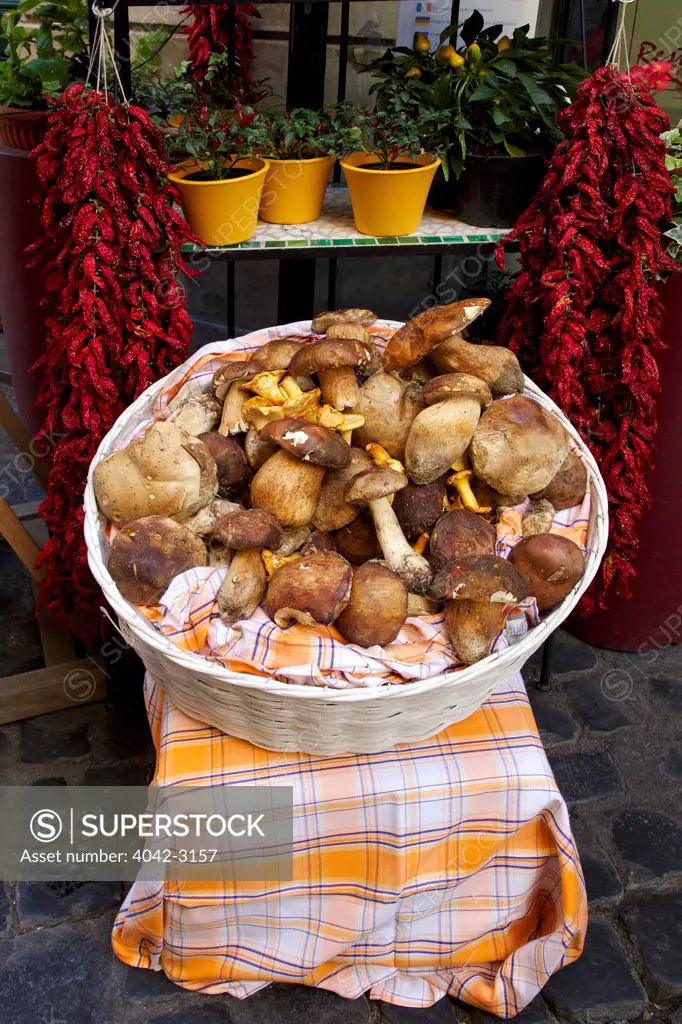 Porcini mushrooms and red chillies outside restaurant, Rome, Italy, Europe