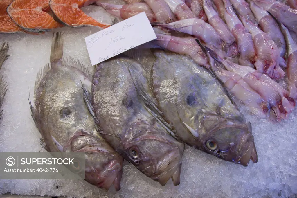 John Dory fish for sale at a market stall, Rialto, Venice, Veneto, Italy