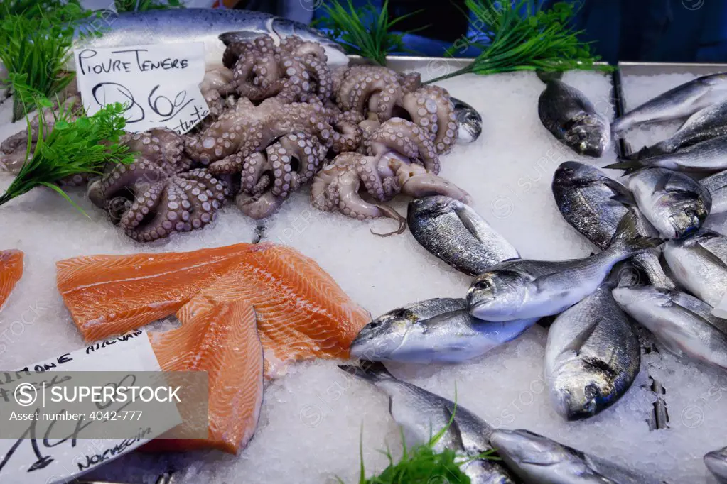 Fish for sale at a market stall, Rialto, Venice, Veneto, Italy