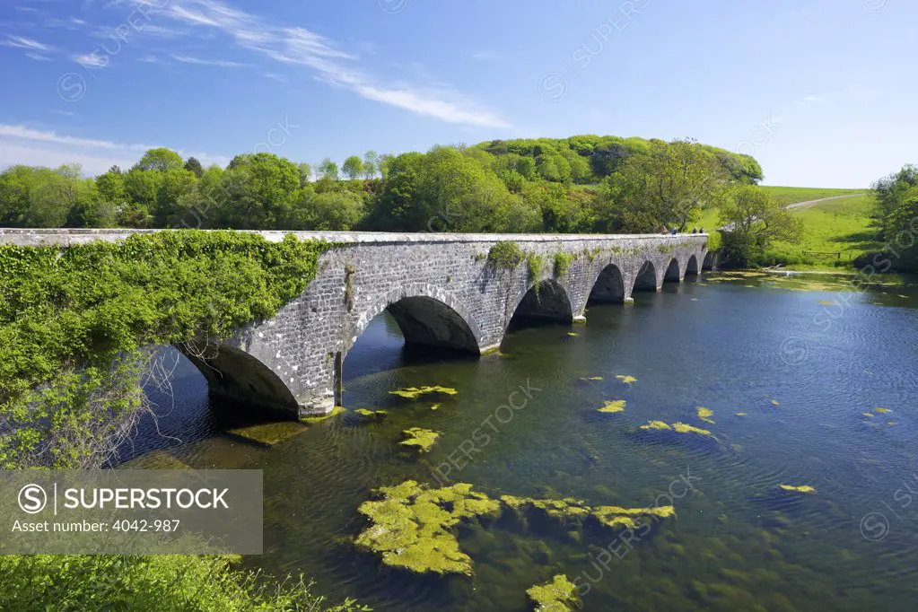 Arch bridge over a pond, Eight-Arch Bridge, Bosherston lily ponds, Pembrokeshire Coast National Park, Wales