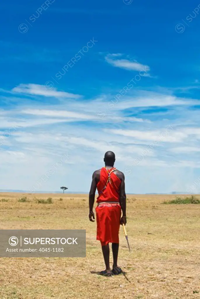 Kenya, Masai Mara National Reserve, Rear view of Masai (Maasai) young man