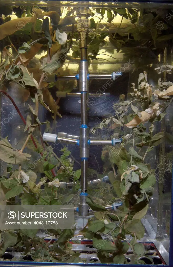 Russian Lada greenhouse on the International Space Station. It is an experiment on plant development and genetics. Some harvested seeds will be re-planted onboard the Space Station while others will be returned to Earth for further study. May 2003.