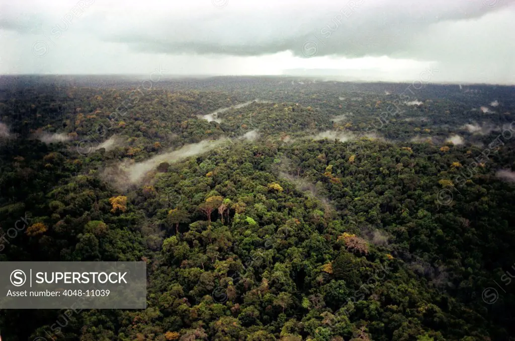 Aerial photo of Guyana Jungle. FBI photo taken during the investigation of the People's Temple mass suicide. Nov. 1978.