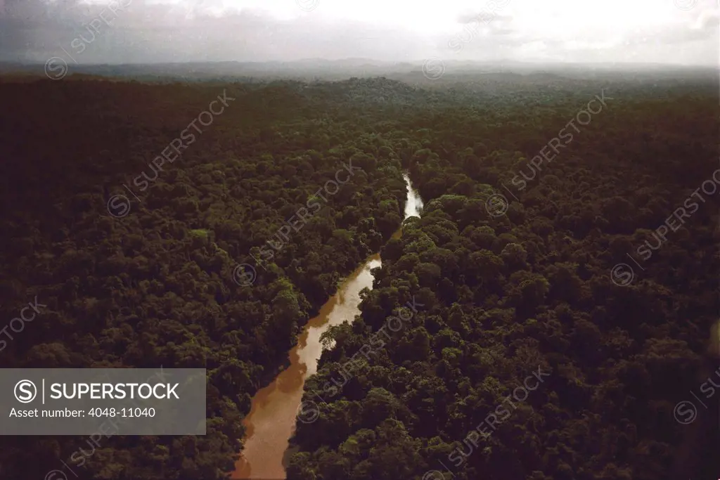 Kaituma River flowing through the rain forest near the People's Temple Agricultural Project, in Jonestown, Guyana. 1978.