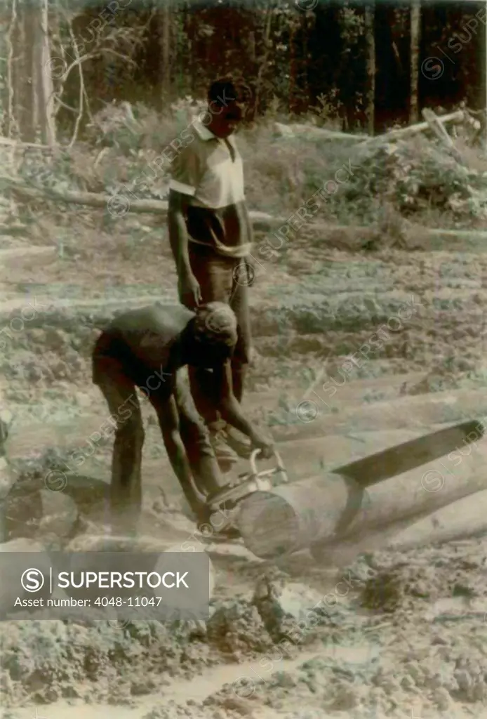 Clearing Rain Forest to create fields in Jonestown. People's Temple Agricultural Project. Jonestown, Guyana. Nov. 1978.