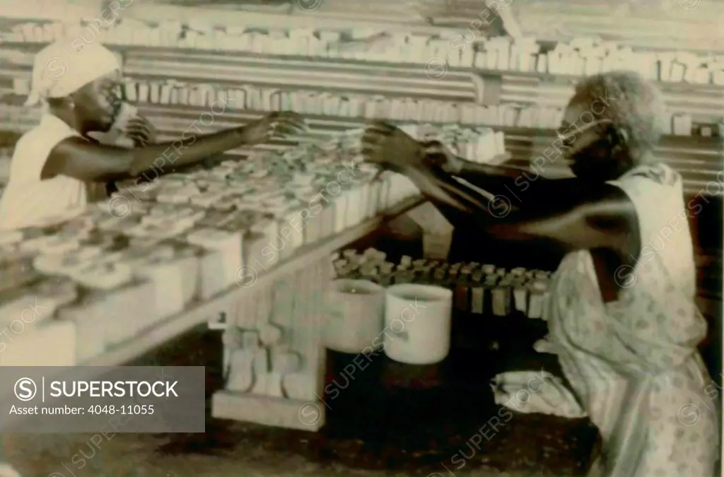 Soap factory and workers at People's Temple Agricultural Project. Jonestown, Guyana. Nov. 1978.
