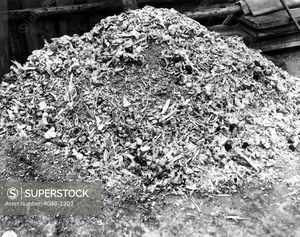 WEIMAR, GERMANY--This heap of ashes and bones represents a single day's killing at the German Concentration Camp at Weimar. 4/25/45.
