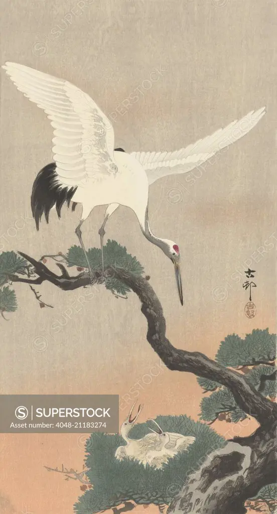 Japanese Crane on Pine Branch, by Ohara Koson, 1900-30, Japanese print, color woodcut (BSLOC_2016_3_289)