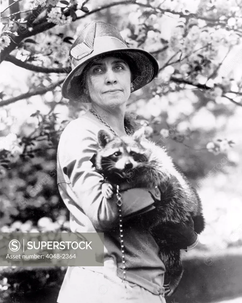 Grace Coolidge (1879-1957), First Lady 1923-1929; original caption: Mrs. Coolidge holding her pet raccoon, Rebecca, circa 1921-1923.
