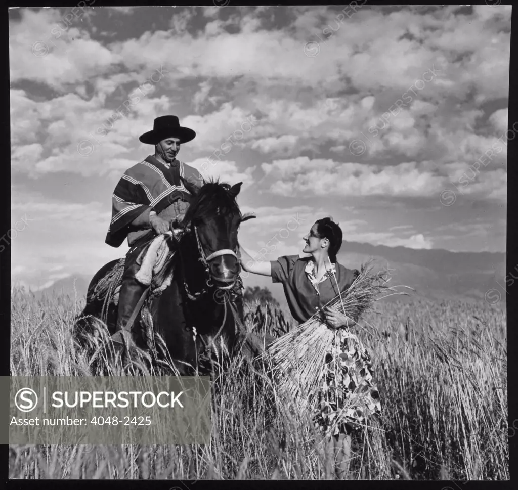 Senora Maria Vial de Prieto petting gaucho's horse 'Prique' in a wheat field in Chile, photograph by Toni Frissell, circa 1940.