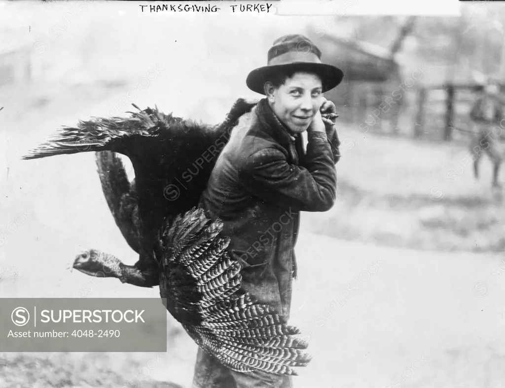Young man with Thanksgiving turkey, circa 1910s.