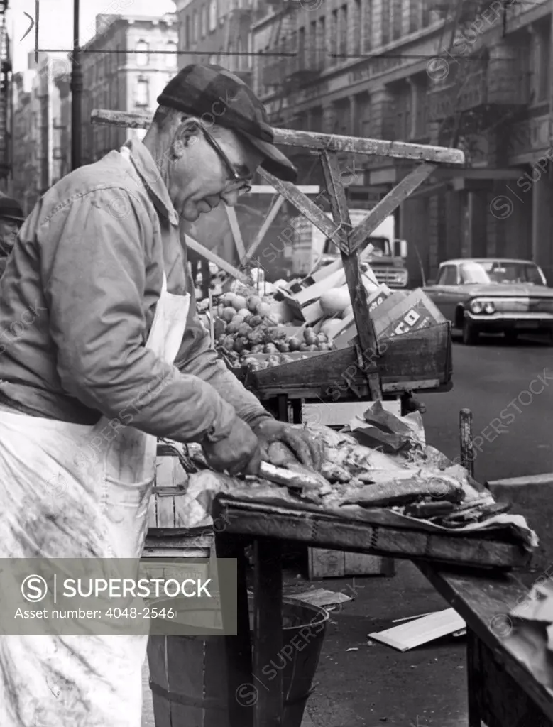 Little Italy, Charles Catalano cleaning fish at his pushcart on Hester & Mott streets, New York City, New York; photo by Phyllis Twachtman, 1964