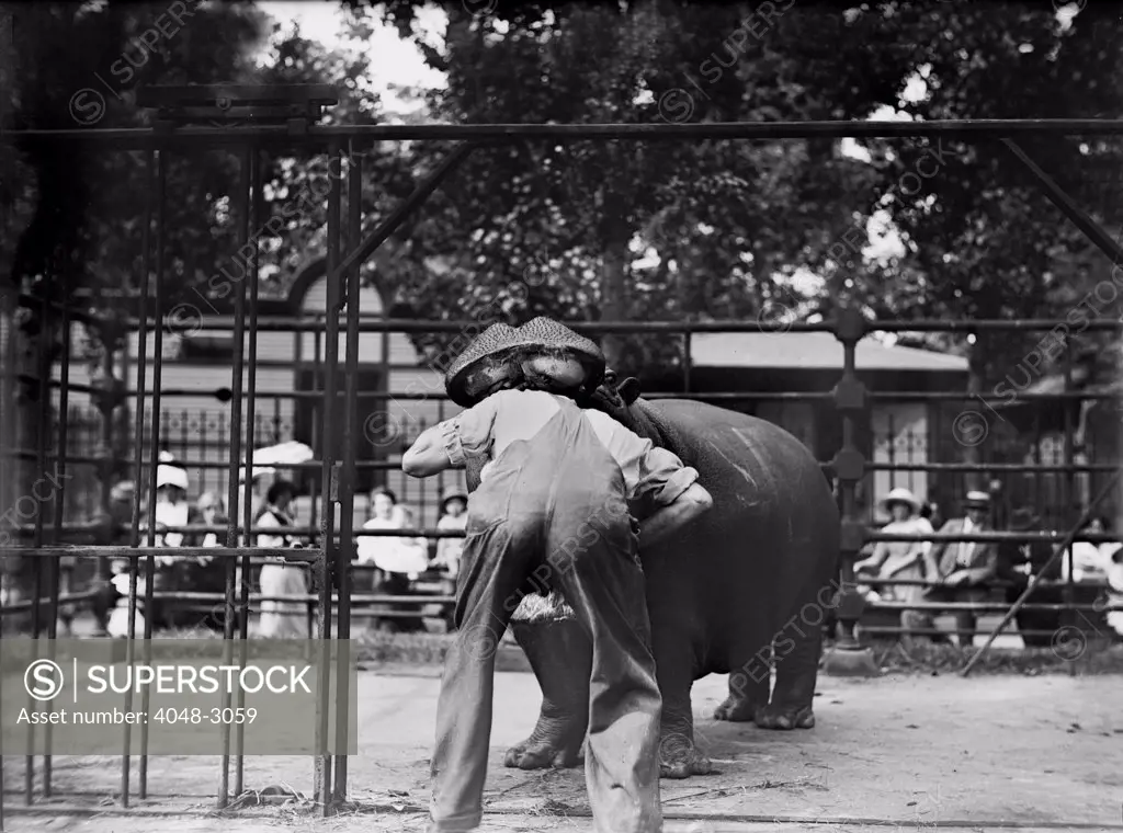 New York City, man with head in hippo's mouth, Central Park, circa 1910s.