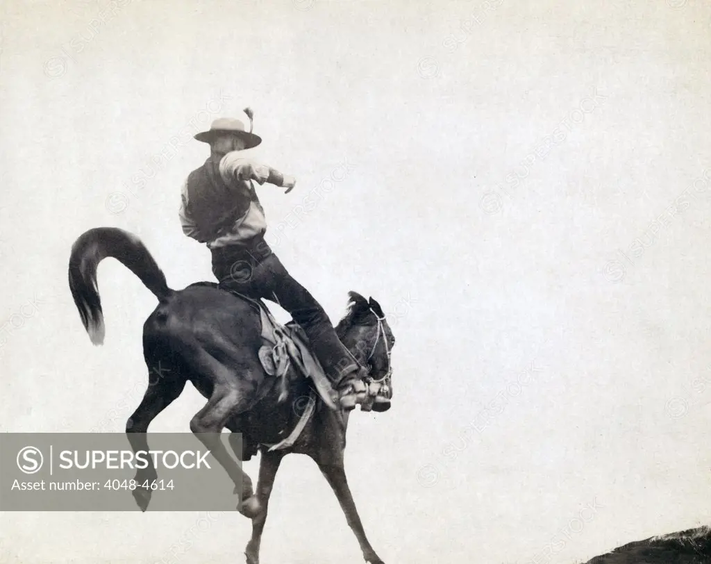 Bucking Bronco. Ned Coy, a famous Dakota cowboy, on a bucking horse. Photograph by John C. Grabill  ca. 1888