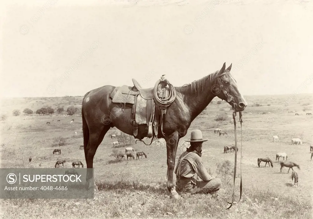 The Horse Wrangler, photograph by Erwin E. Smith, June 24, 1910