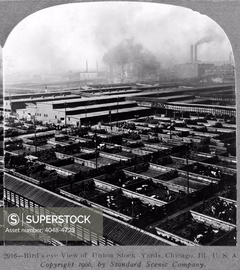 Union Stock Yards, Chicago, Ill. Stereocard, ca. 1906