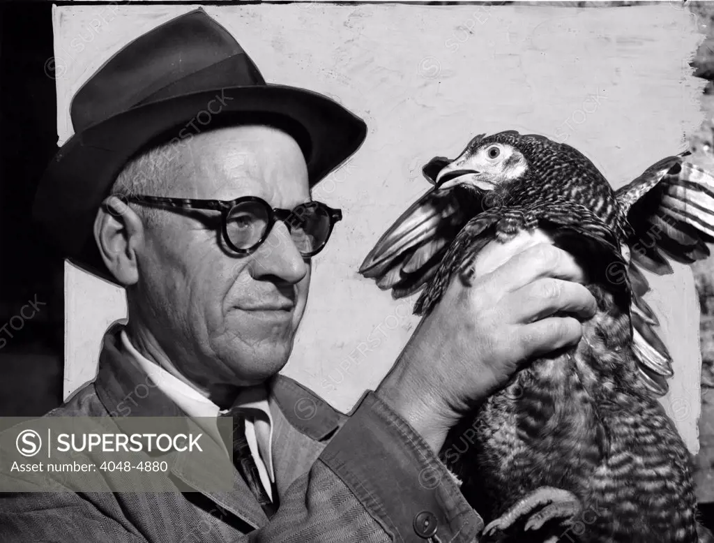 Lester P. W. Wehle, a live-poultry inspector for the city of New York, inspects the crop of a chicken. Photograph, 1951.