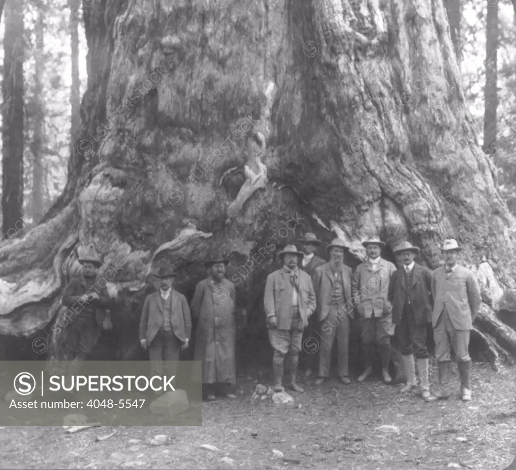 President Theodore Roosevelt and his party, before the 'Grizley Giant,' big trees of California during his 1903 Western tour.
