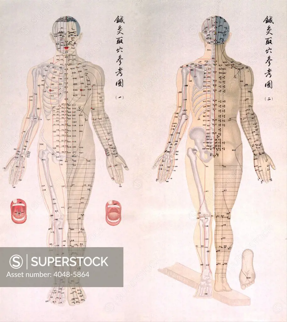 Chinese chart of acupuncture points on a male body, with bones are depicted on half of his body and muscles on the other half. Acupuncture points are noted all across the body. 1956.