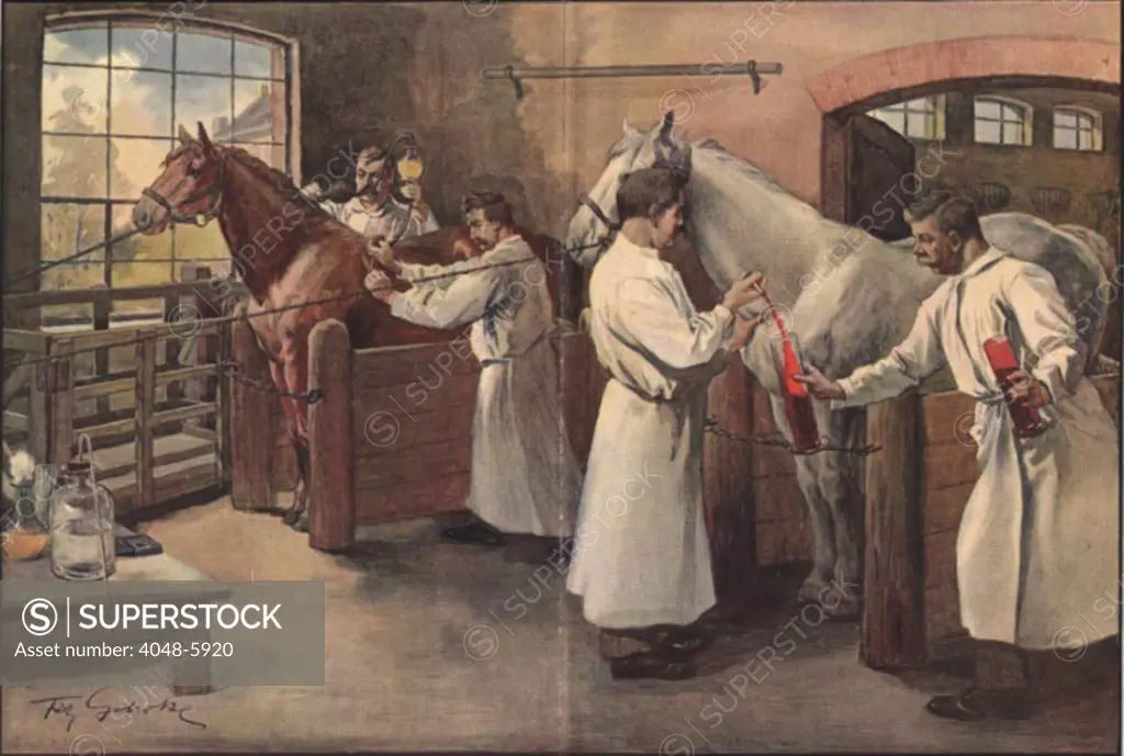 Diphtheria antitoxin was made by inoculating horses with diphtheria bacteria, then bleeding the animals to obtain their blood serum. The serum neutralized the diphtheria toxin causing the patients symptoms.