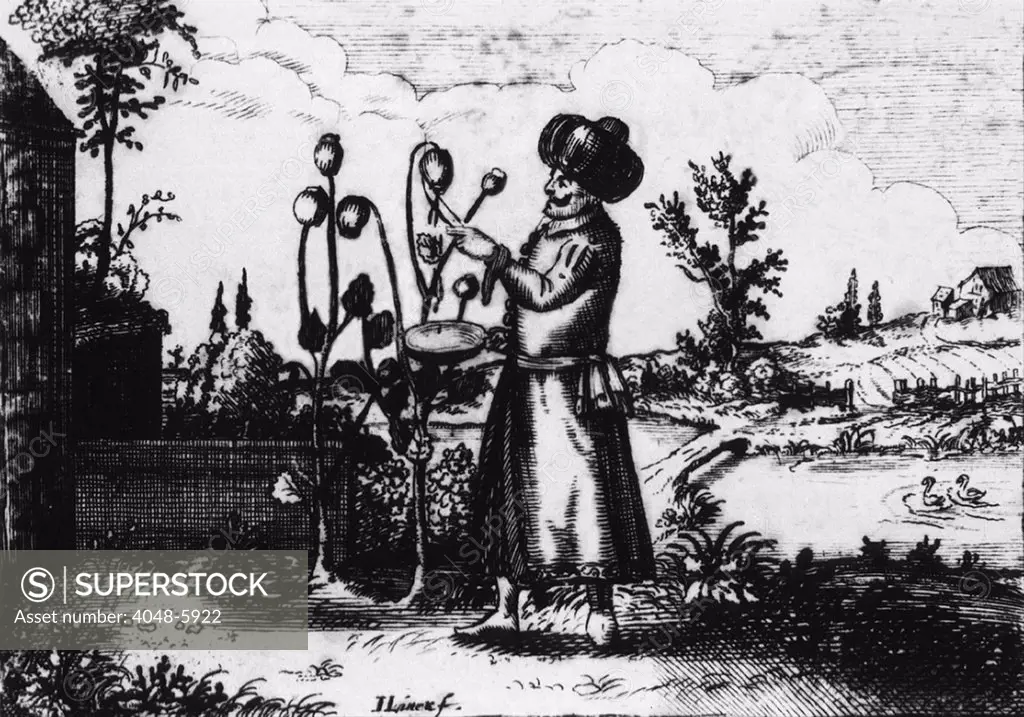 A man in Turkish dress slashes an opium poppy bud to extract the sap from the seed capsule. Opium was introduced to Europe from Asia in the 16th century, and used as a painkiller.  European engraving from the title page of OPIOLOGIA, A TREATISE CONCERNING THE NATURE, PROPERTIES, TRUE PREPARATION AND SAFE USE AND ADMINISTRATION OF OPIUM.  17th century.