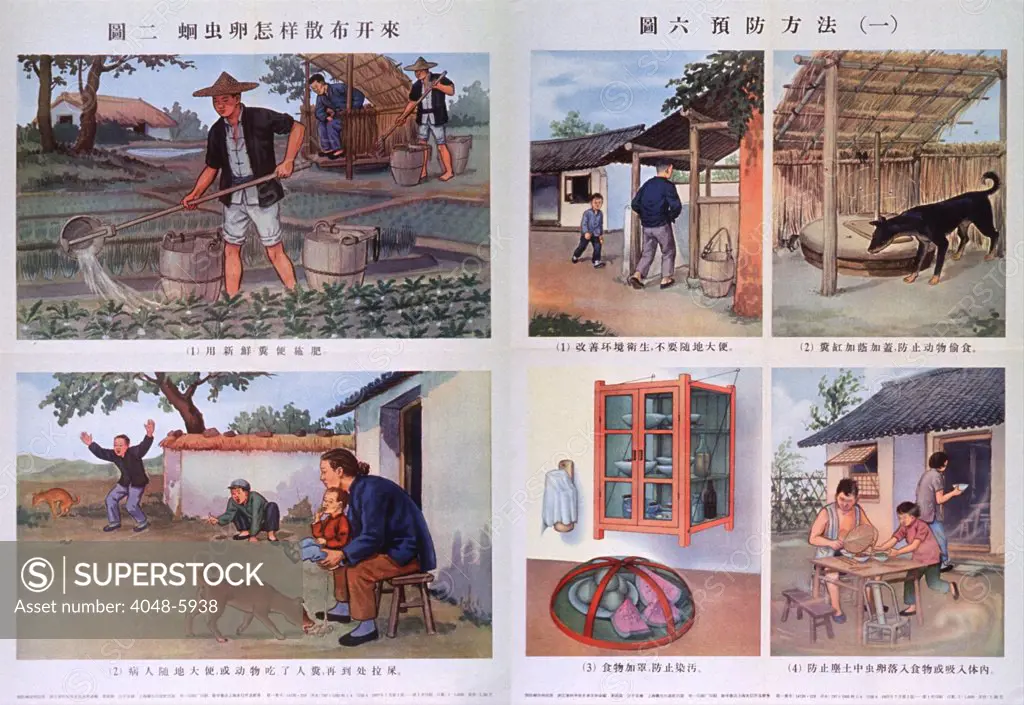 Public health education in Red China. Two posters contrast bad hygiene (at left), with good practices (at right), in an attempt to educate China's rural population. Unhygienic practices include growing plants close to a latrine, human and animal waste in the yard. Hygienic practices include a latrine away from house, covered latrine, covered food, and brushing flies away. 1957.
