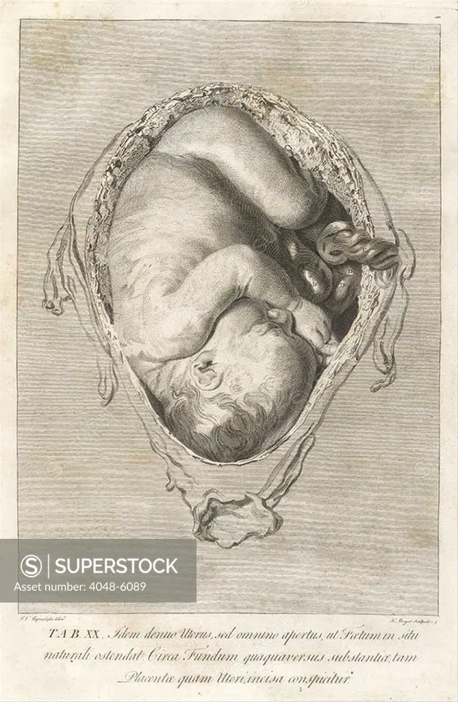 Fully developed human fetus in utero. Engraving from William Hunter's THE ANATOMY OF THE HUMAN GRAVID UTERUS, 1774. Hunter was appointed the physician extraordinary to Queen Charlotte in 1764, who gave birth to 15 children between 1762 and 1783.