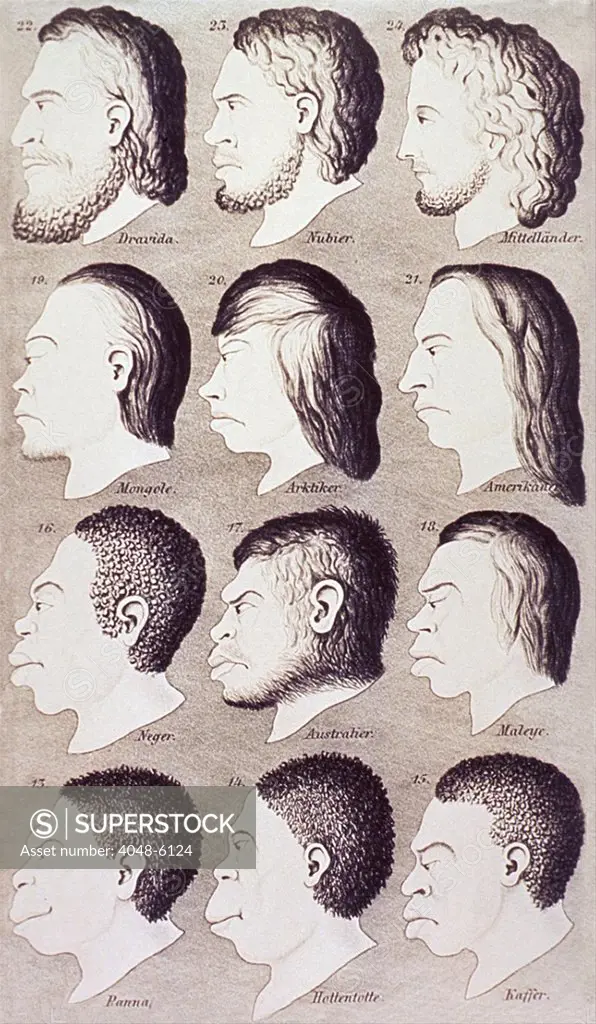 A series of human heads from difference races and ethnicities progressively develop from an idealized Caucasian profile to stereotypes of non-Europeans. From Ernest Haeckel's 1868 popular illustrated book titled NATURLICHE SCHOPFUNGSGESCHICHTE (English title, HISTORY OF CREATION).