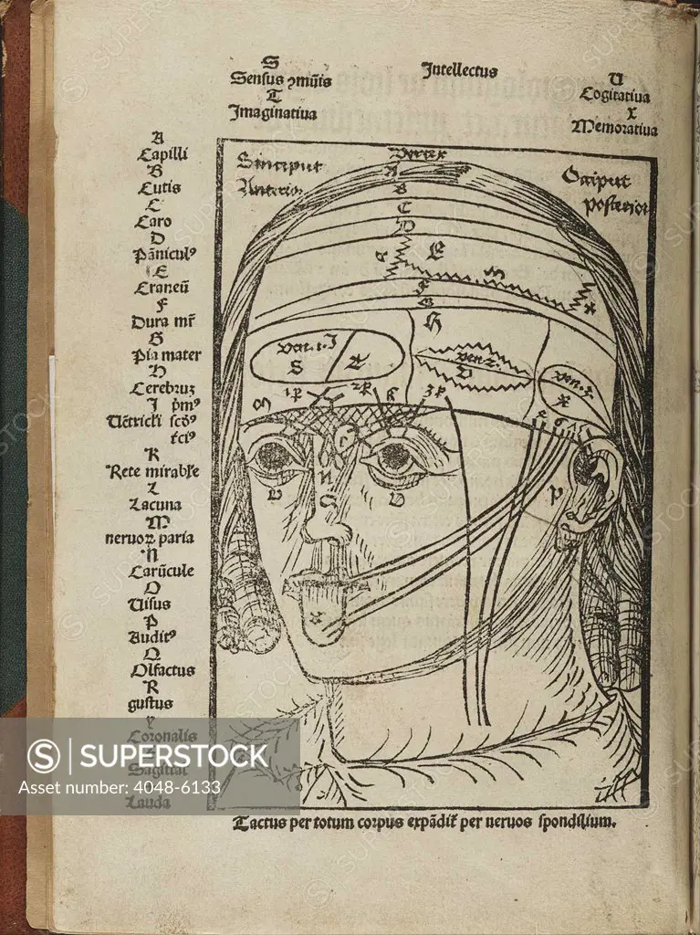 A human head indicating areas of the brain that correspond to the senses. From Magnus Hundt's ANTROPOLIUM, published in Leipzig in 1501, which explains the human body anatomically, philosophically, and religiously. His title is the first known use of the term, 'Anthropology.'