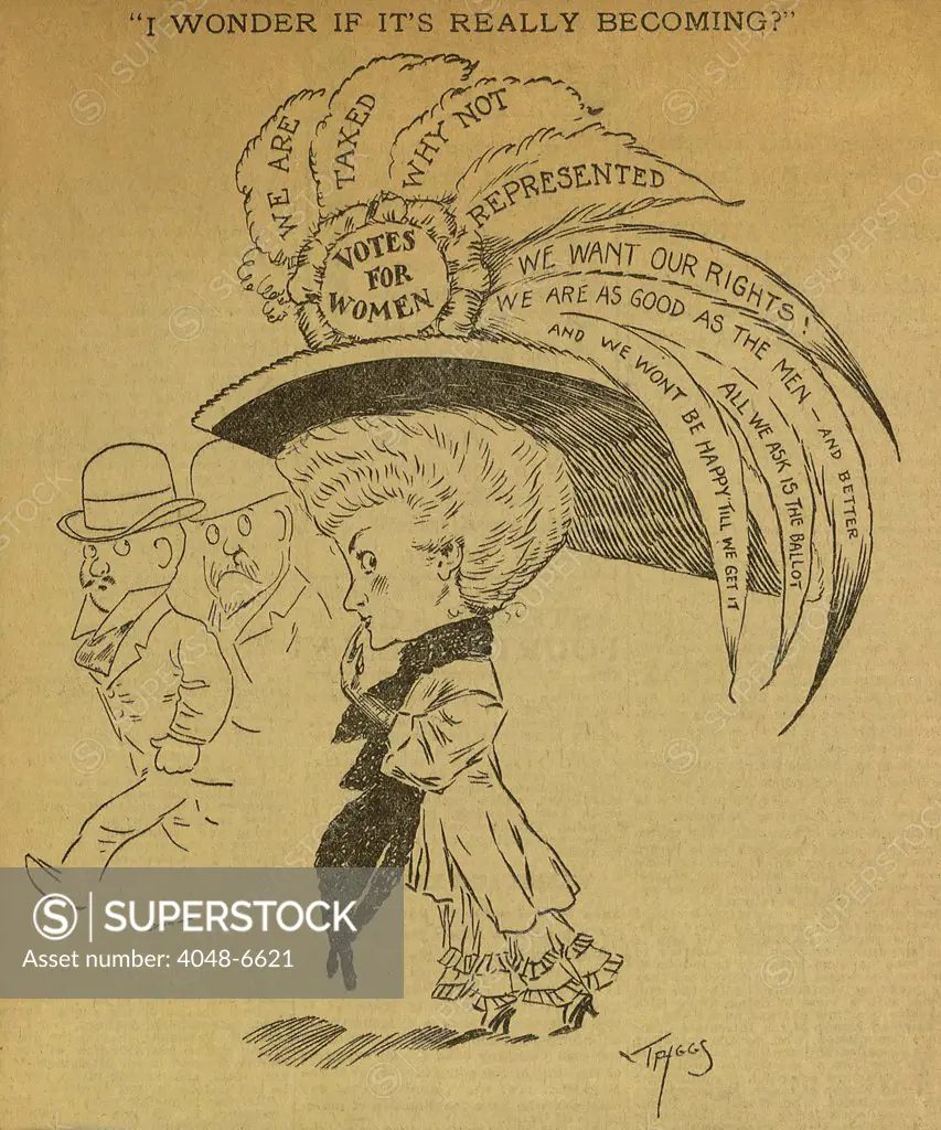1891 American political cartoon captioned, 'I wonder if it's really becoming' The image shows a stylish woman with 'Votes for women' hat with suffrage message on feathers.