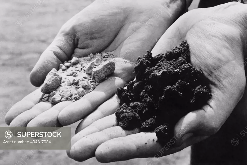 Two varieties of sand from an oil drilling district. The hand on the left holds dry, oil-less sand, while the other holds sand rich and dark with oil. Finding oil-soaked sand in a test-boring indicates that the chances of striking oil are good. Ca. 1944.