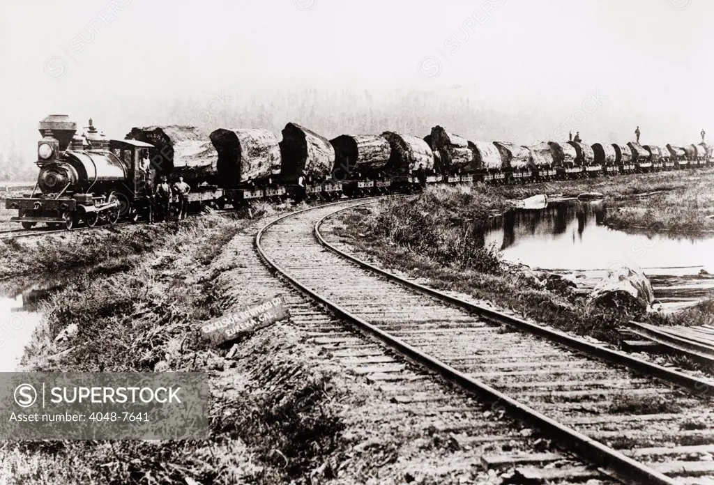 Train of huge redwood logs of the Excelsior Redwood Company of Eureka, California. Ca. 1900.