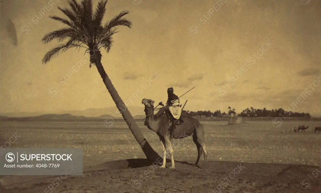 Algerian camel rider next to a palm tree in a desert landscape. Photo attributed to Tancrede R. Dumas between 1860-1900. LC-DIG-ppmsca-04408