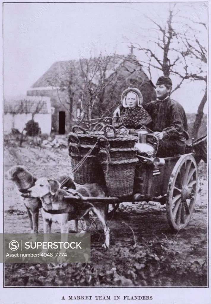 A MARKET TEAM IN FLANDERS. Two dogs about to pull a loaded cart with two adult passengers. Ca. 1900-1910. belgiumlandofart00grif_0041