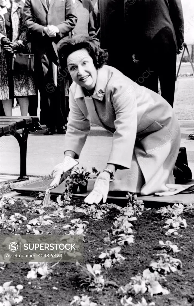 Lady Bird Johnson planting pansies on the famed Capitol Mall. She advocated national 'Beautification', a soft approach to environmentalism. March 9, 1965.