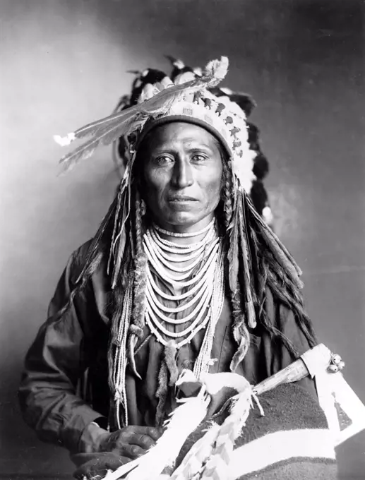 Heebe-tee-tse of the Shoshone Nation. Ca 1899