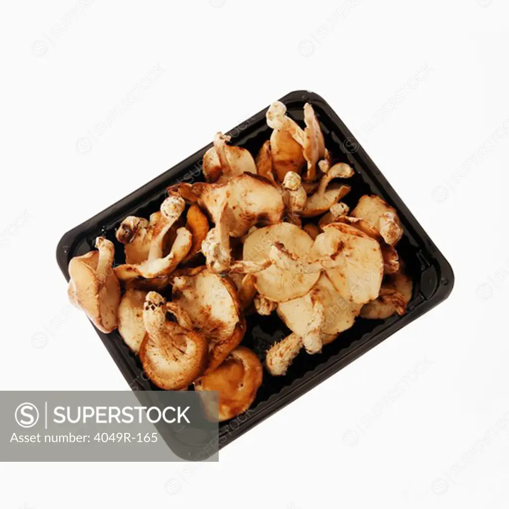 Close-up of a tray of assorted mushrooms