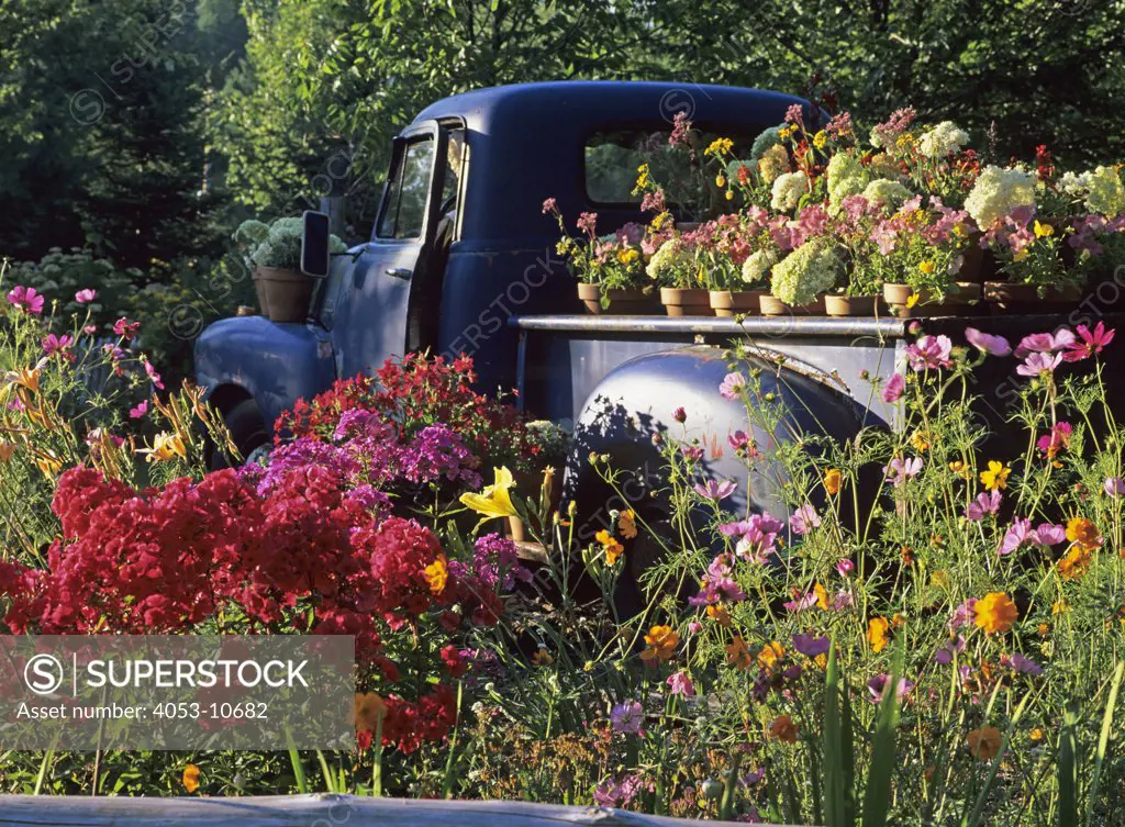 Gardens: Theme garden, old rusty Chevy pick up painted bright blue filled and surrounded by flowers, lady mannequin in driver seat.