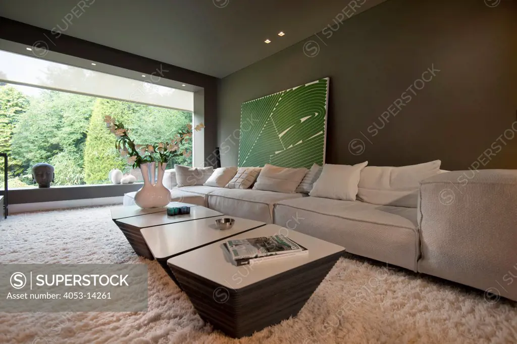 Large living room with rug on floor and view of trees through window. Netherlands. 07/16/2012