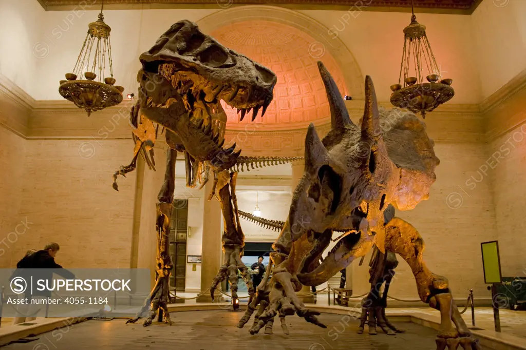 Natural History Museum, Exposition Park, Los Angeles, California, USA