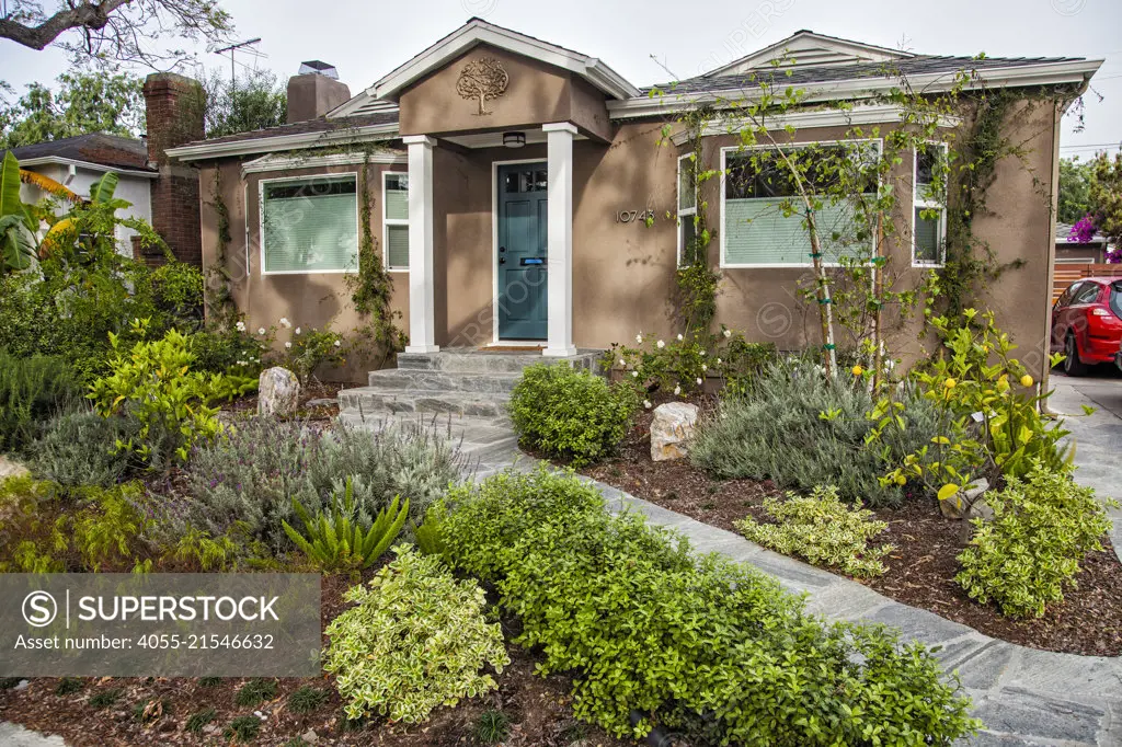After several years of severe drought, many homeowners are replacing traditional lawns with drought tolerant gardens, Culver City, Los Angles, California, USA