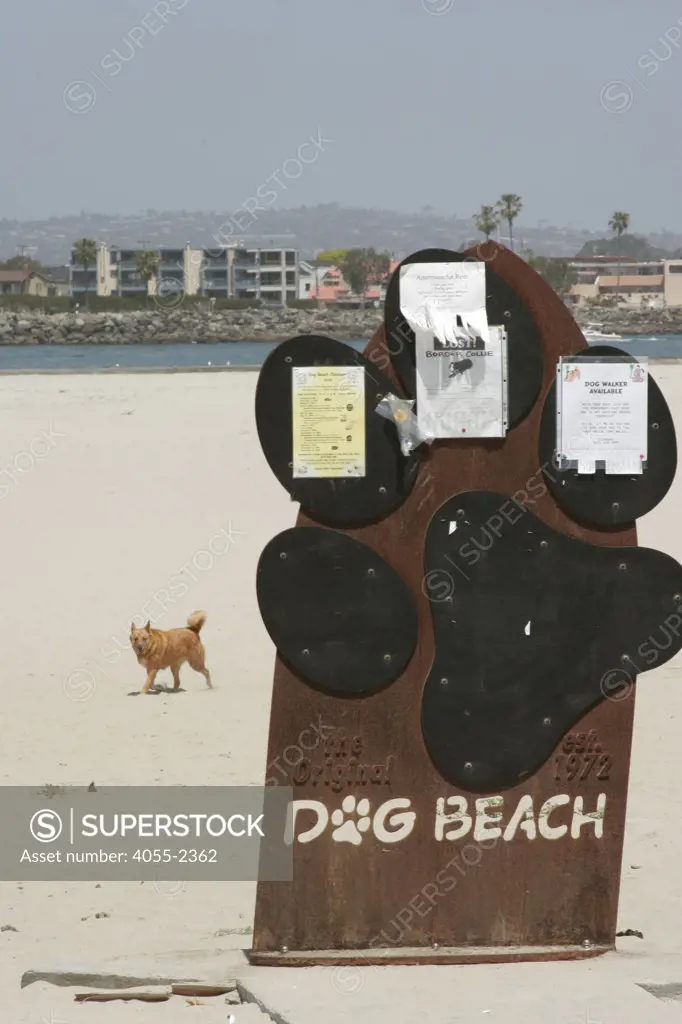 Dog Beach, Ocean Beach, San Diego, California (SD)