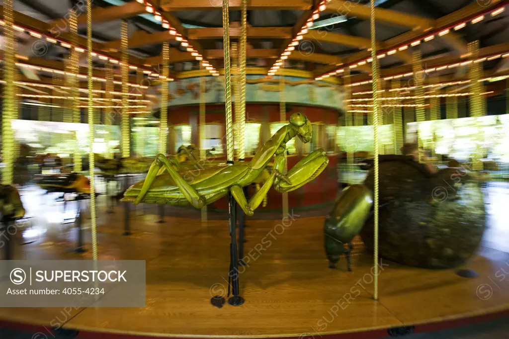 Bug Carousel, Bronx Zoo, The Bronx, New York City, USA