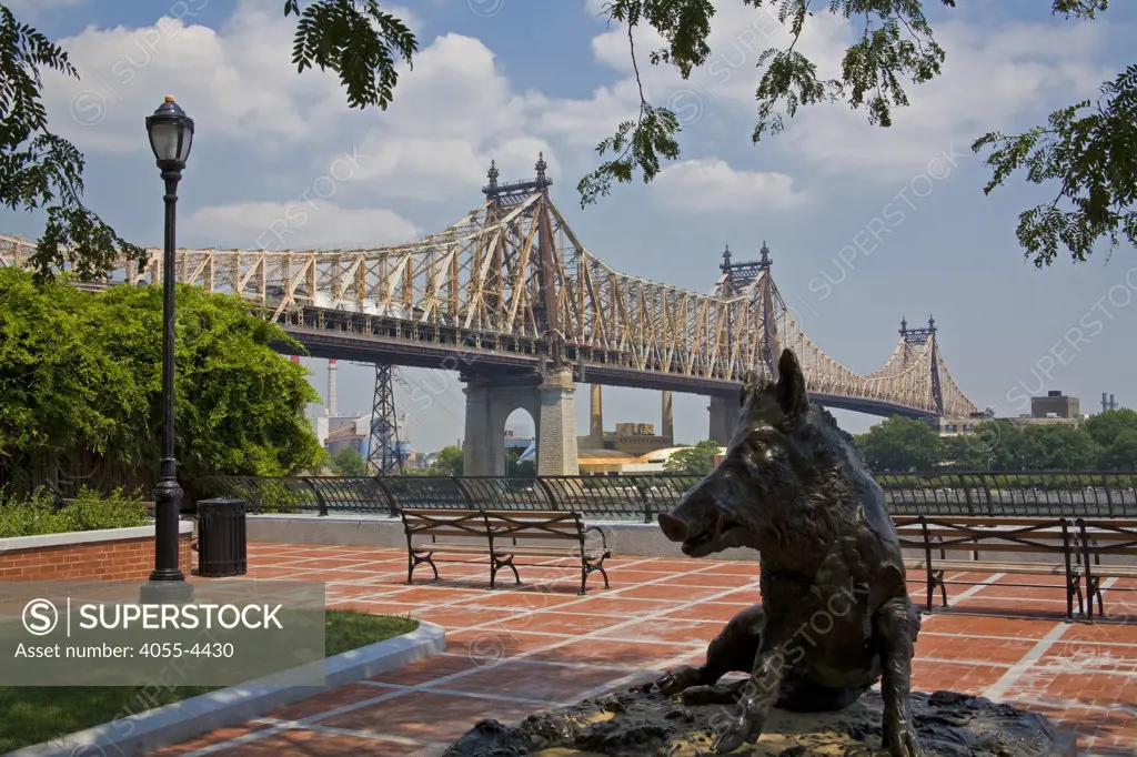 Queensboro Bridge, Sutton Place Park, Wild Boar statue, which is a replica of the bronze wild boar completed in 1634 by Renaissance sculptor Pietro Tacca (1557-1640) that stands in Florence, Italy, Manhattan, New York