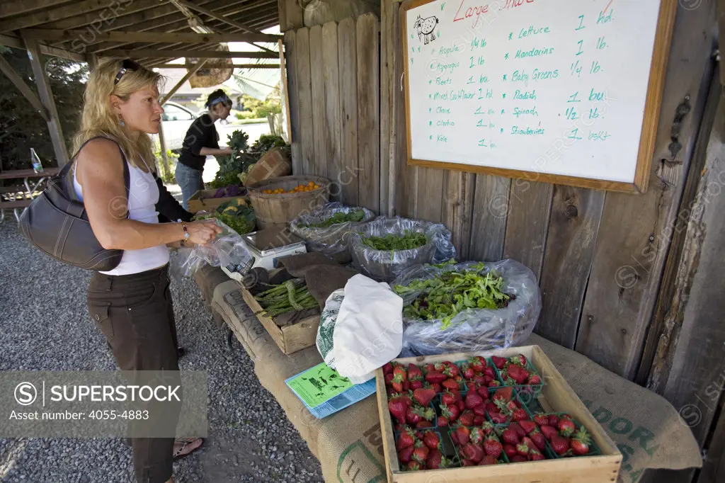 The Community Supported Agriculture program allows members to take home seasonal produce on a weekly basis, by pre-paying a year for either a small or large share.