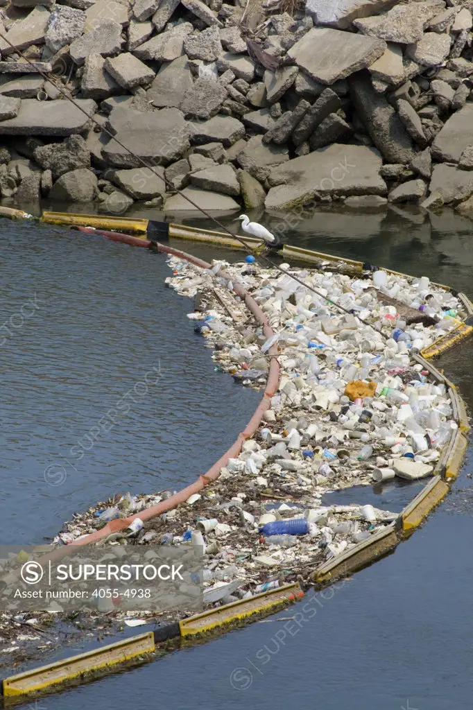 Plastic debris and other garbage collecting in a boom on the Los Cerritos Channel (a tributary of the San Gabriel River), Long Beach, Los Angeles County, California, USA